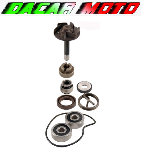 Kit revisione pompa acqua - revisione,